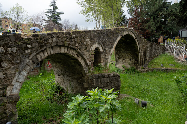 tanner bridge tirana