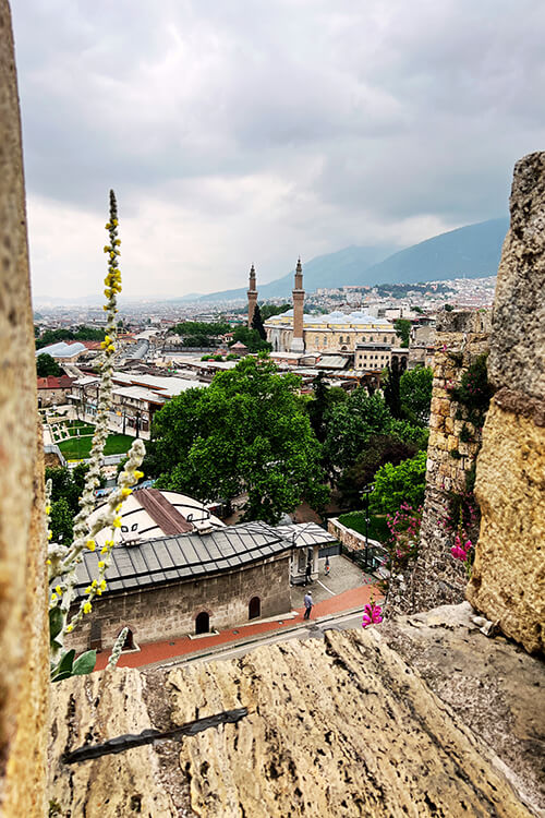 Bursa_2_canva_web